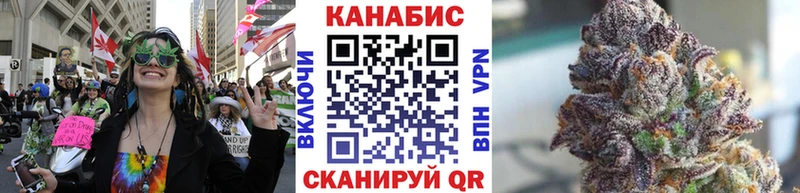 Бошки марихуана VHQ  Купить закладки  Ленинск-Кузнецкий 